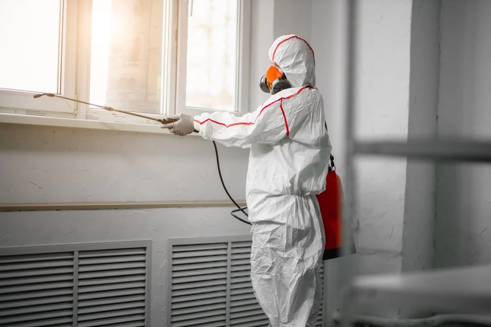 Professional mold remediation services in Neotsu, OR